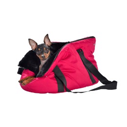 Sac Pack noir pour chien - taille M : Transport du chien BOBBY animalerie -  botanic®