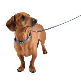 Laisse pour chien coloris rouge en nylon rond Bobby Walk – Taille unique :  Laisses, harnais et colliers pour chien BOBBY animalerie - botanic®
