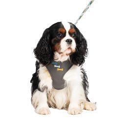 TENTE TIPI JUNGLE 50X48X70 CM - Chiens - Bobby - Accessoires pour chien et  chat - Colliers, manteaux, pulls