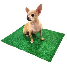 FRESH TAPIS ANTIMOSQUITOS GRASS 65X50 CM